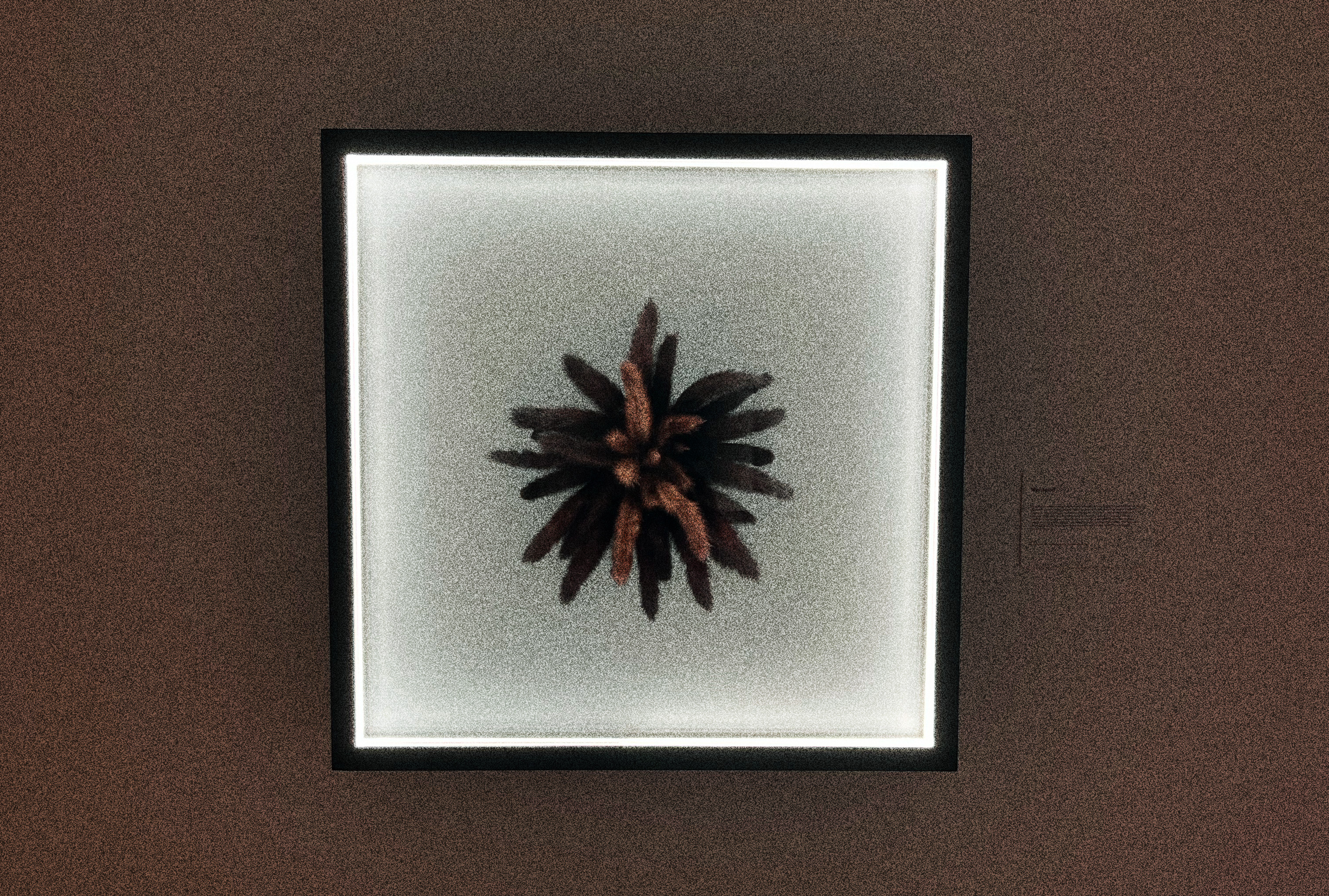 Second image